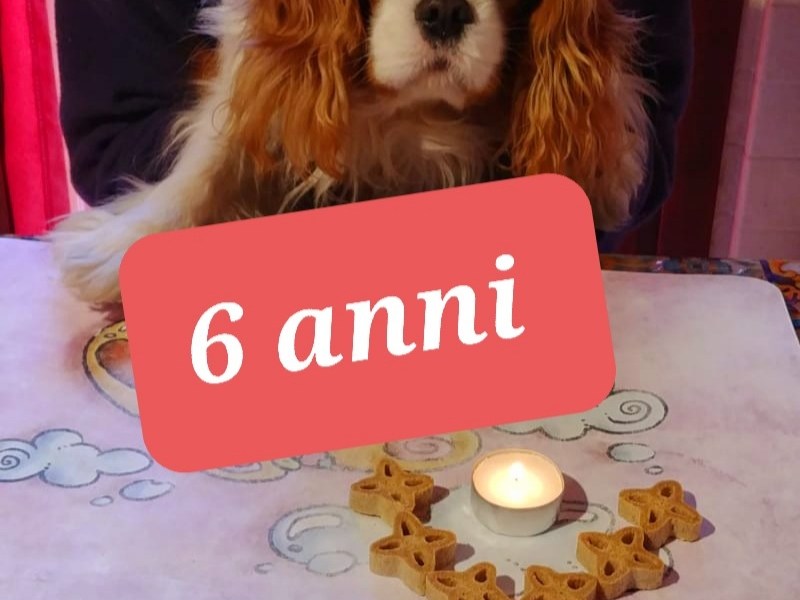 Buon compleanno Chris!