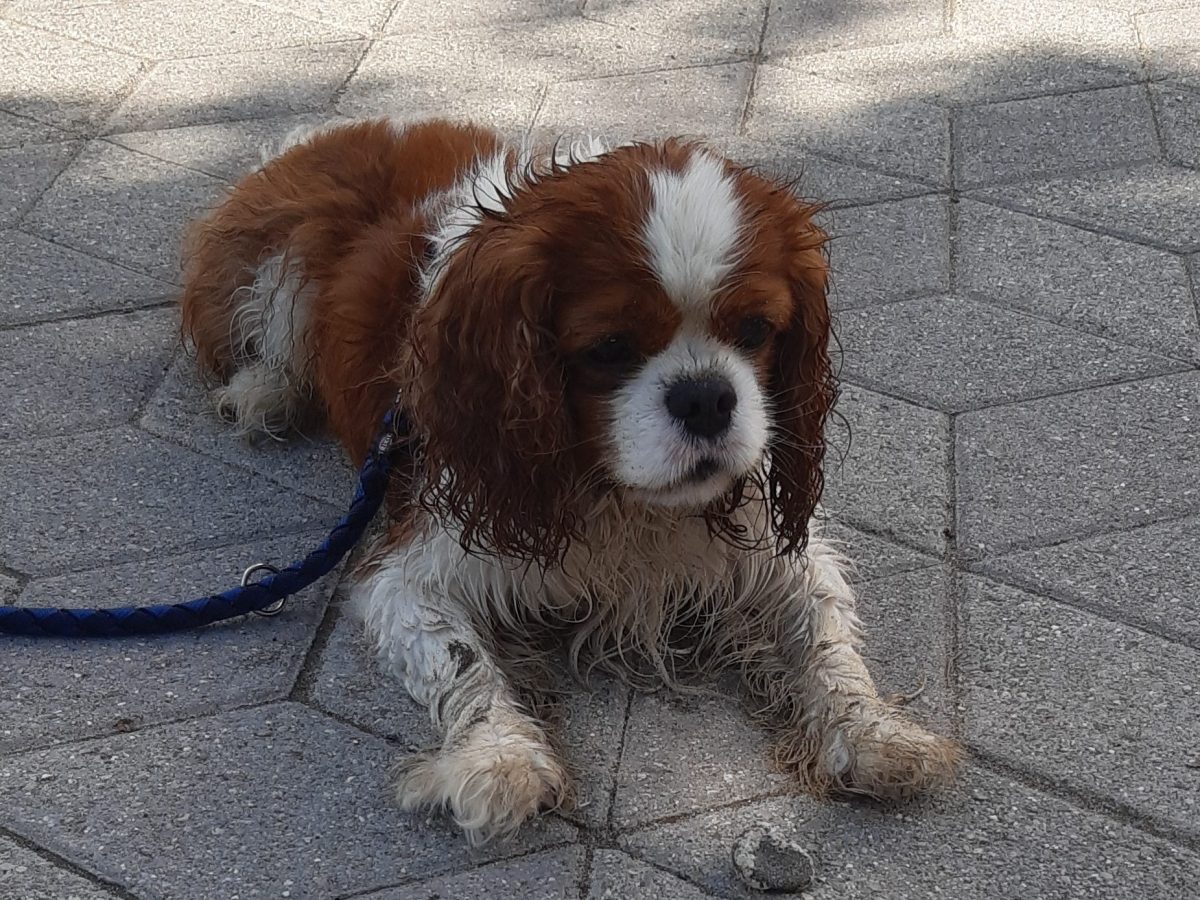 I sassi della fortuna.