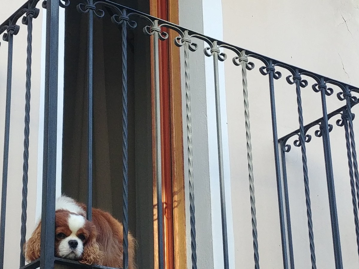 Un week-end ad Aosta.