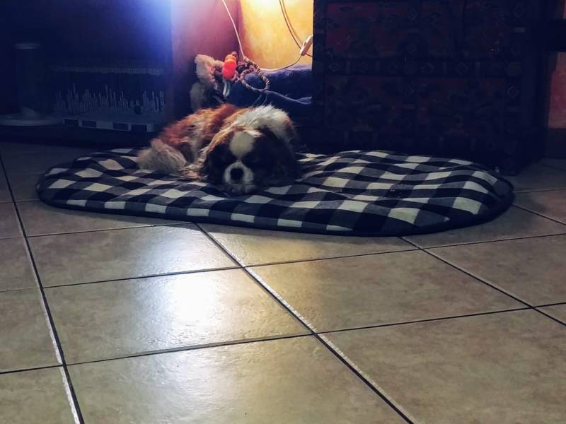 Sette anni di gioia e amore puro.