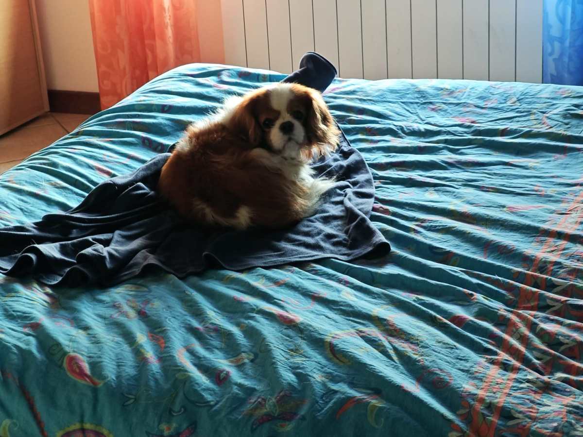 Buon 2025 e 8 anni di Chris.