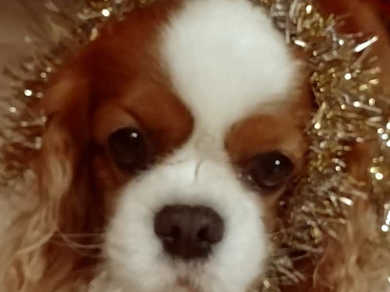 Buone Natale e a presto.